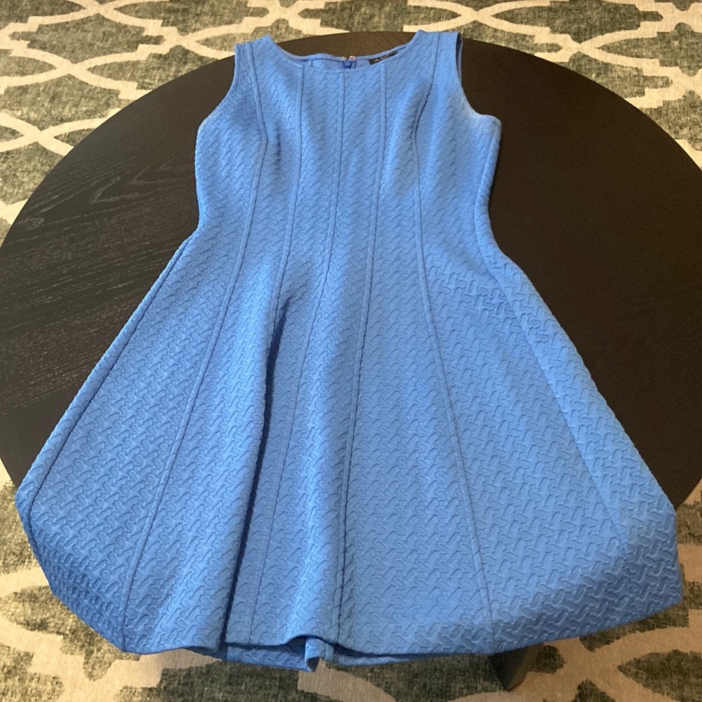 The Limited Blue Dress